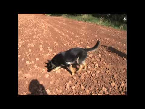 Unique z údolí Úpy - stopa 11 měsíců