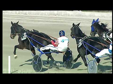 Napoli Trotto 19/11/2021 - 1ª corsa