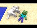 Monster School : Season 8 All Episode - Minecraft Animation