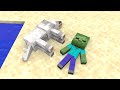 Season 8 All Episode Minecraft Animation