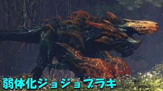 鉄刀で臨界ブラキに挑んだらまさかの！？【Part50】
