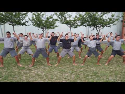 Waikato Taniwharau   School Haka