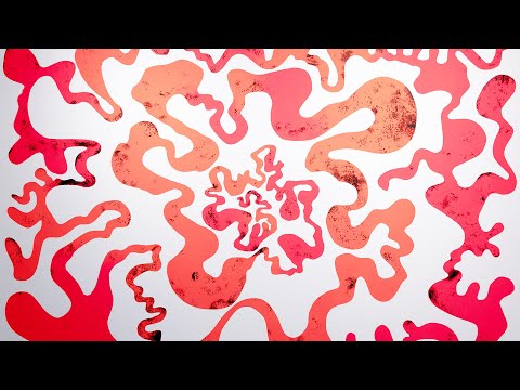 GUSTAVO OVIEDO : SYMBIOSIS