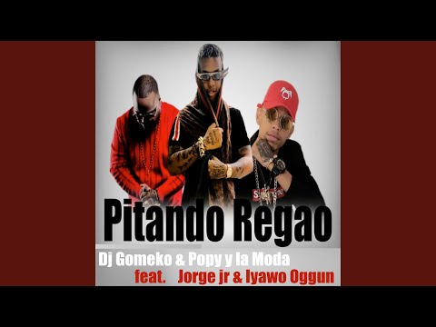 Pitando Regao (Remix)