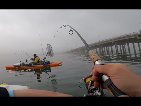 First Fluke (summer flounder) trip of 2022 ft. Fishin Accomplished