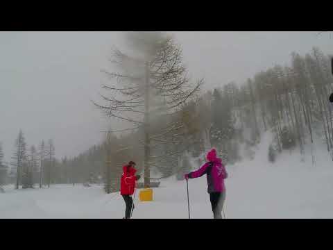Rhêmes Notre Dame - nevicata gennaio 2018