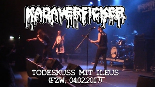 KADAVERFICKER - Todeskuss mit Ileus (Live at FZW 04.02.2017 - Ansage an Drachenlord)
