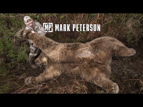 Giant 10 foot Alaska Brown Bear | Mark Peterson Hunting