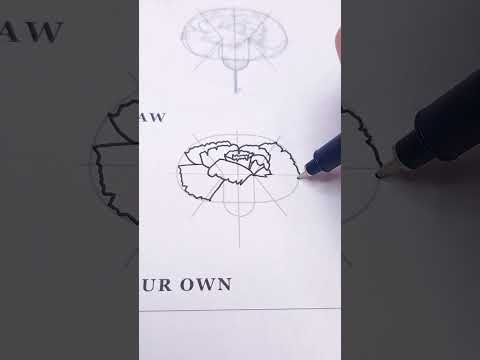 When drawing a Carnation make sure it's frilly ✨🥰#carnations