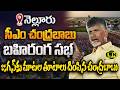 AP CM Chandrababu Naidu Speech In Nellore Massive Public Meeting LayNews