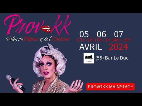 Lady Maxx animant le salon Provokk 2024 à Bar-le-Duc