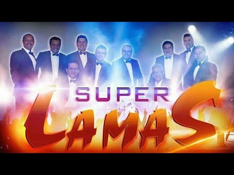 Los Super Lamas // Mix 2022 // joyitas De Oró //