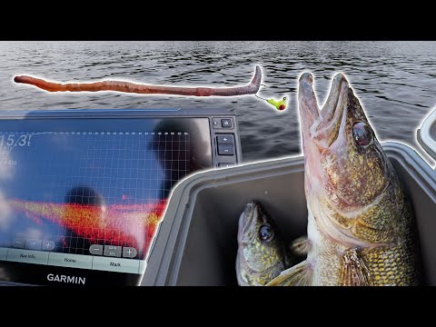 This isn't Fair! Catching GIANT Walleye with Live Worms & Livescope