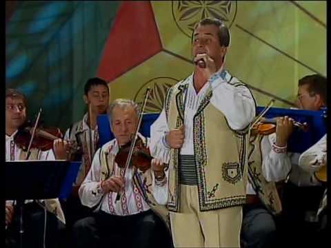 Albesteanu 2009 - Nicolae Rotaru - Toata lumea are dor