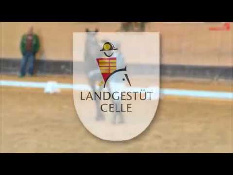 Da Costa Sportprüfung März 2018