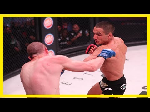 Breaking News | Video: watch mma prospect aaron pico's devastating knockout punch at bellator 183