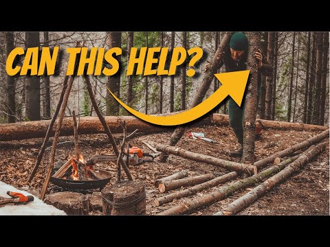 We Bought a Woodland - Ep2 - A Problem in the Woods