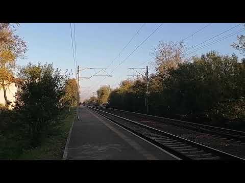 Delfinul 888 spre București, cu IR 1582.