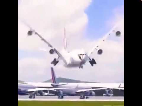 FUNNY 😂😂😂😂 bird-plane-AirFrance