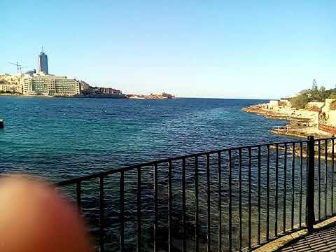 The buties of malta.  😚with cats 😸