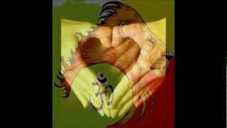 TARRUS RILEY  SHAKA ZULU