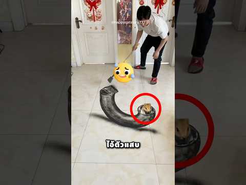 พ่อจะทำให้หนูหายไป ✨😎