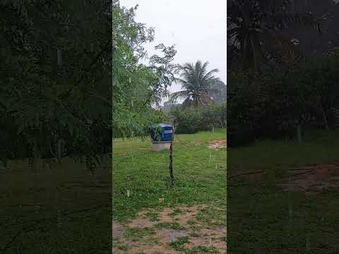 muita chuva em Serrinha São Gonçalo do Amarante Rio Grande do Norte RN