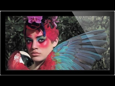 How to Set Up and Use a Wacom Tablet