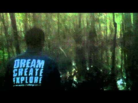 Amazon Rain Forest at Dusk with Guide Elso Lima