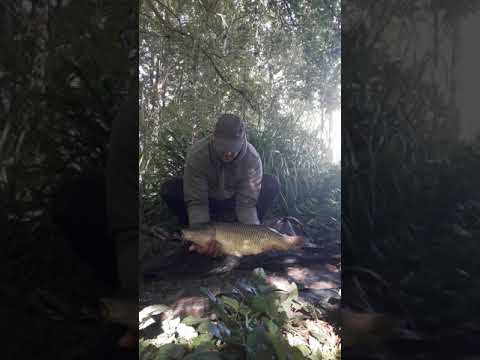 The new stalking spot