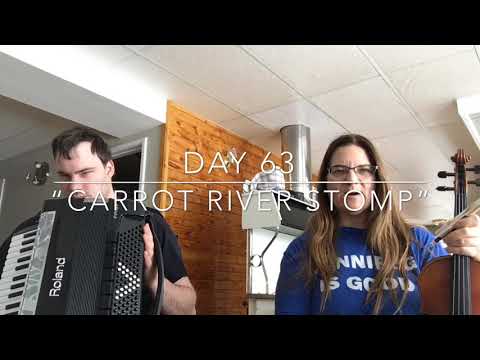 Day 63 - “Carrot River Stomp” -  Patti Kusturok’s 365 Days of Fiddle Tunes