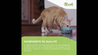 Les gâteries pour chats Orijen