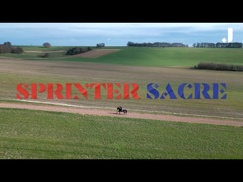 A Ride With Sprinter Sacre - Presented by My Pension Expert
