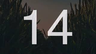 The Nearness of You - Rod Stewart | Karaoke