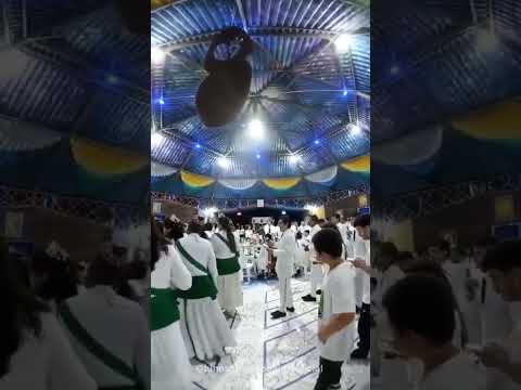 Beija-flor de Luz/SP - 29 anos de história na doutrina