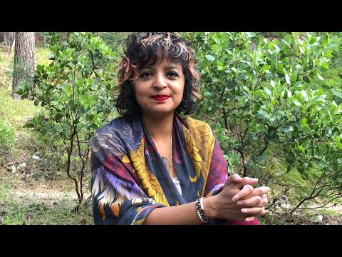 Where is Aurora? 7/7 Portal Surprise Channeling Archangel Michael