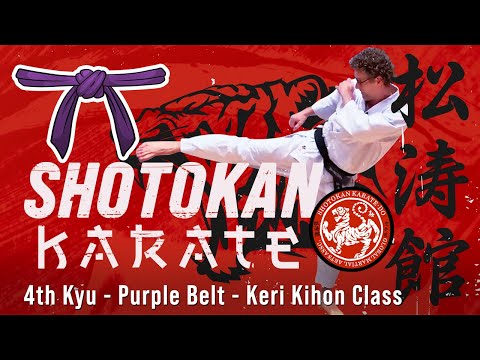 Shotokan - 4th Kyu - Purple Belt - Keri Kihon Class thumbnail