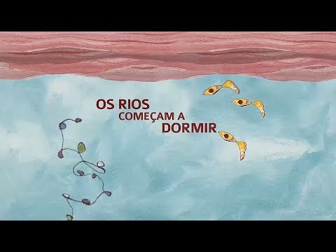 OS RIOS COMEÇAM A DORMIR - CD CRIANCEIRAS MANOEL DE BARROS
