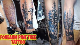 FOREARM PINE TREE TATTOO || TATTOO || CLITCHE TATTOO TV
