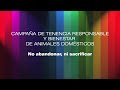 Tenencia responsable de animales domésticos (IV)