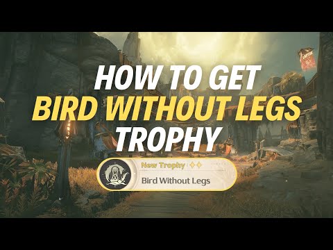 Bird Without Legs