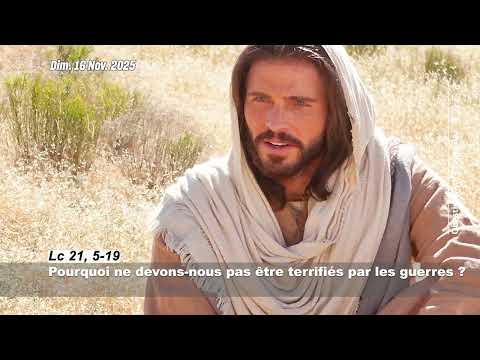 Questions Sur l'Évangile du 33e DOC -16 Novembre 2025