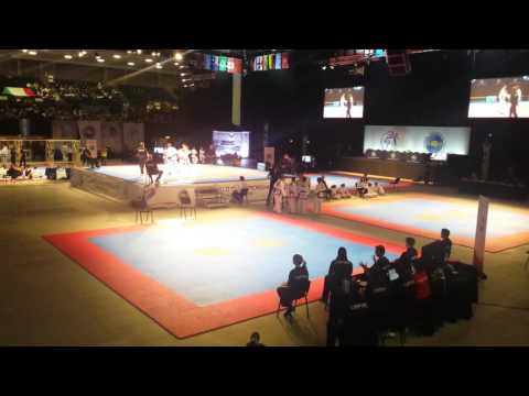 ITF World Taekwon-DO Championship 2016 (Final)