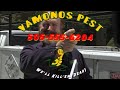 Better Call Saul Season 5 Teaser Vamonos Pest Commercial