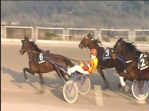 Trotto 20/02/2019 - 3ª corsa