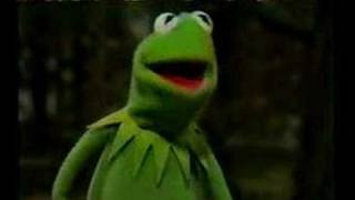 Kermit-It's Not Easy Being Green