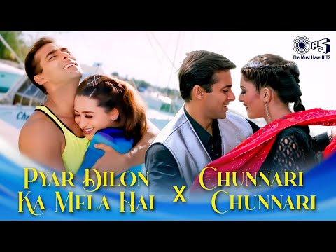 Pyar Dilon Ka Mela Hai & Chunnari Chunnari | 90s Hits Hindi Songs | Love Songs | Evergreen Songs