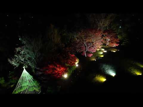 足立区ドローン動画「桜花亭」