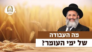 מה העבודה של ימי העומר? | רגע של אור עם מו"ר הרב ישראל אברג'ל שליט"א