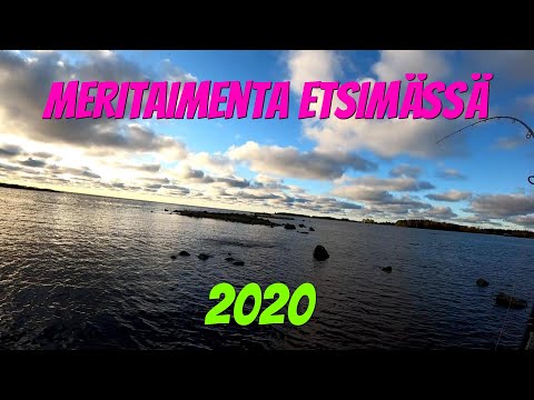 Meritaimenta etsimässä 2020 | Kalastus 2020